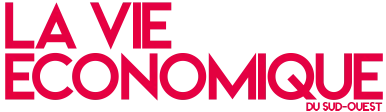vie-economique.com